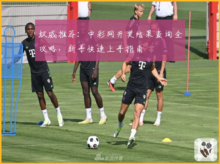 权威推荐：中彩网开奖结果查询全攻略，新手快速上手指南