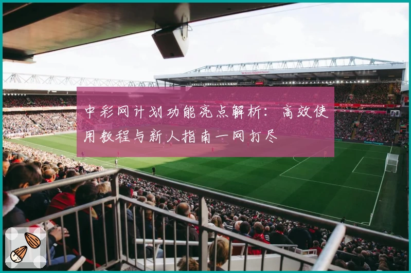中彩网计划功能亮点解析：高效使用教程与新人指南一网打尽