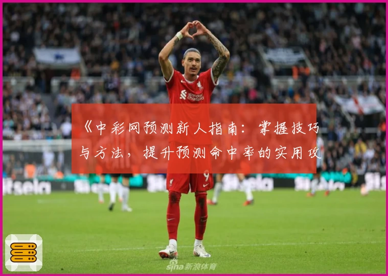 《中彩网预测新人指南：掌握技巧与方法，提升预测命中率的实用攻略》