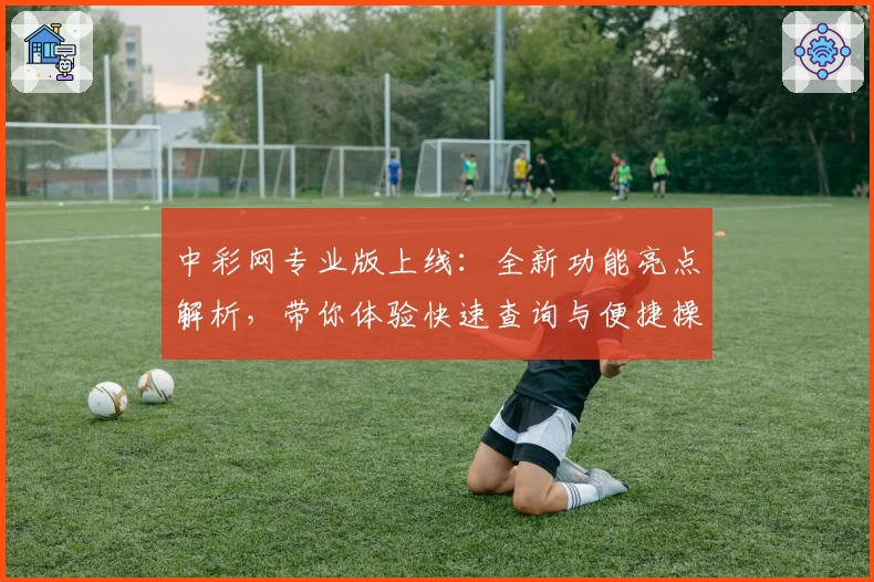 中彩网专业版上线：全新功能亮点解析，带你体验快速查询与便捷操作