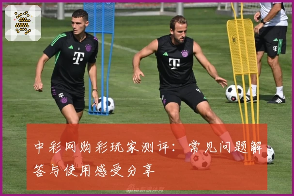 中彩网购彩玩家测评：常见问题解答与使用感受分享