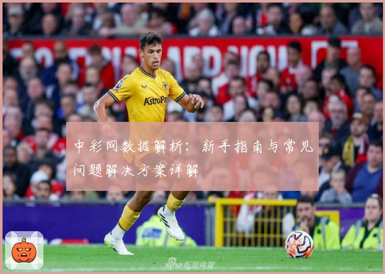 中彩网数据解析：新手指南与常见问题解决方案详解