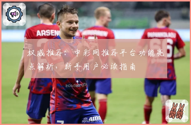 权威推荐：中彩网推荐平台功能亮点解析，新手用户必读指南