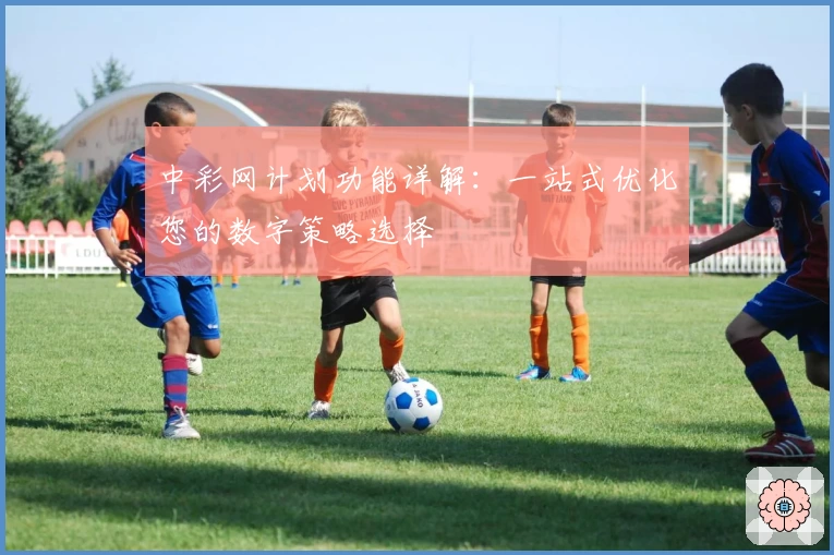 中彩网计划功能详解：一站式优化您的数字策略选择